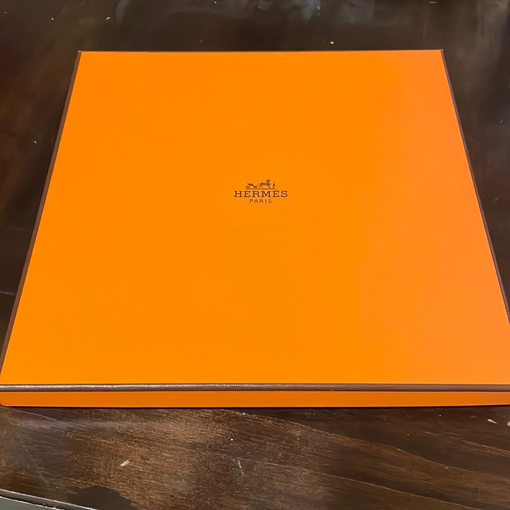 Beautiful Hermes Womens Scarf - Silk